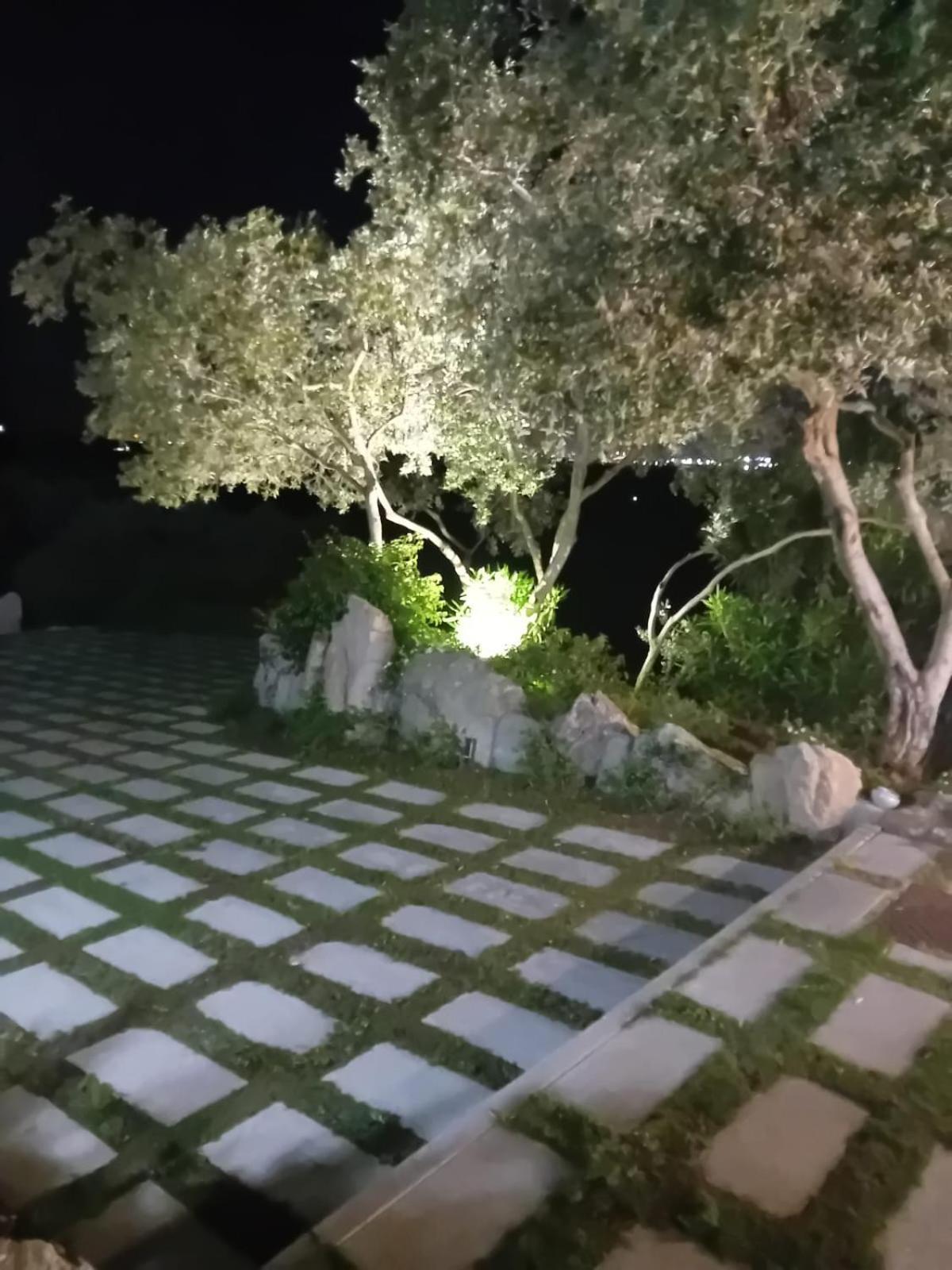 Li Petri Manni Bed & Breakfast Olbia Eksteriør bilde